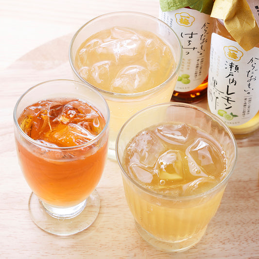 お酢屋のからだおもい飲む酢【3種詰め合わせ】〈一梅酢〉